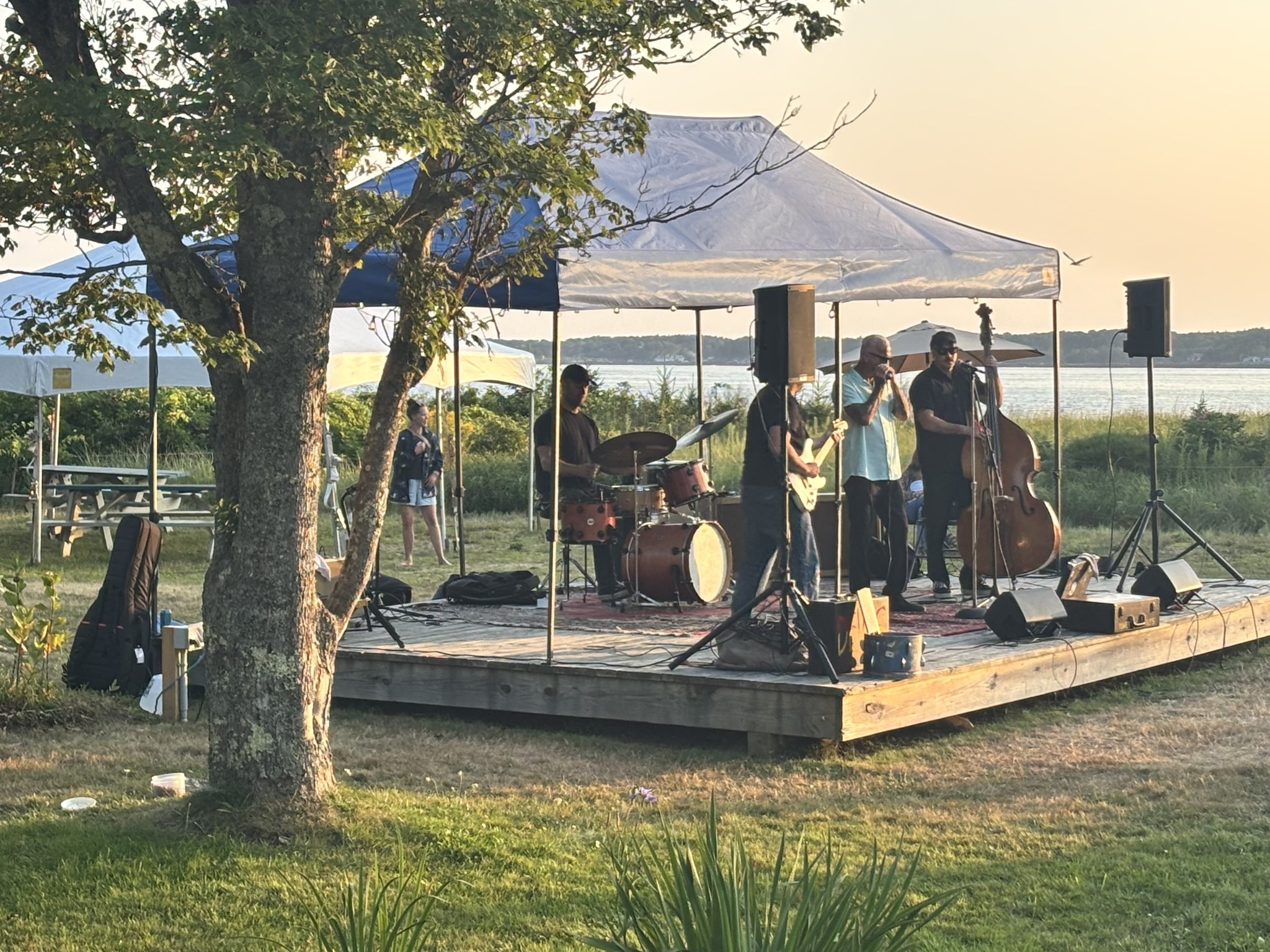 Live Music